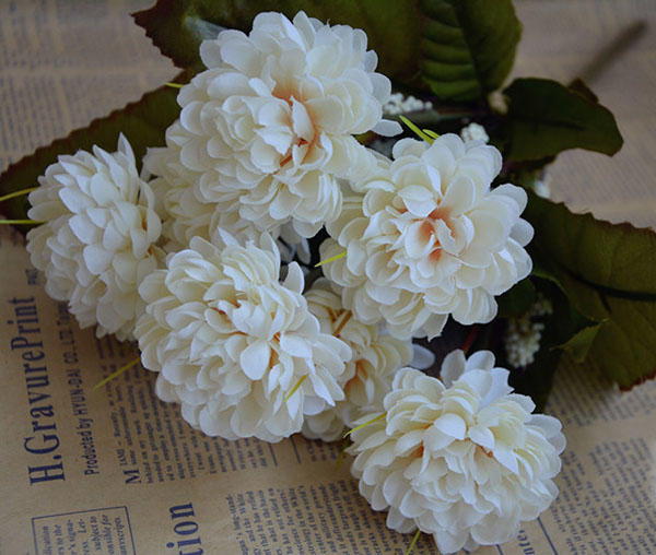 hoa cúc hà lan màu trắng cao cấp giá rẻ
